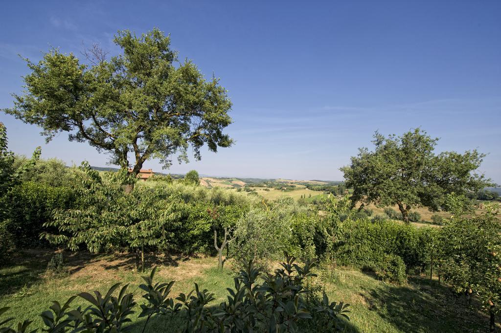 Agriturismo I Roseti Монтепульчано Номер фото
